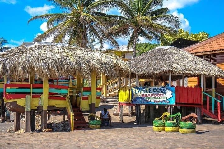Full-Day South Coast Jamaica Tour from Kingston: YS Falls, Little Ochie & Lover's Leap photo 5