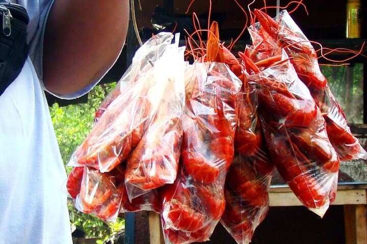 Full-Day South Coast Jamaica Tour from Kingston: YS Falls, Little Ochie & Lover's Leap photo 4