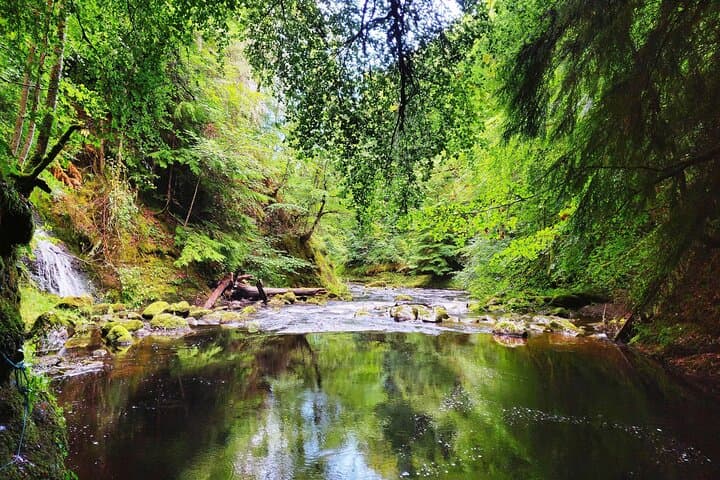 Highlands North Day Tour: Dunrobin Castle, Glenmorangie Distillery & Dornoch photo 5