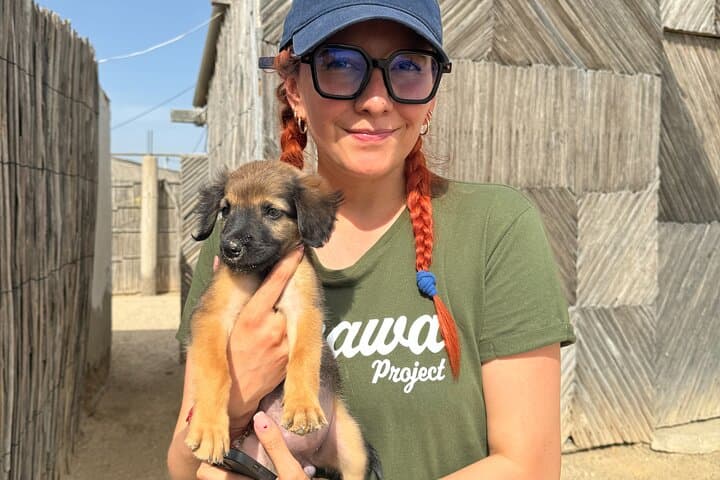 Saving Animals Tour in La Guajira: 4-Day Volunteer Conservation Experience photo 4