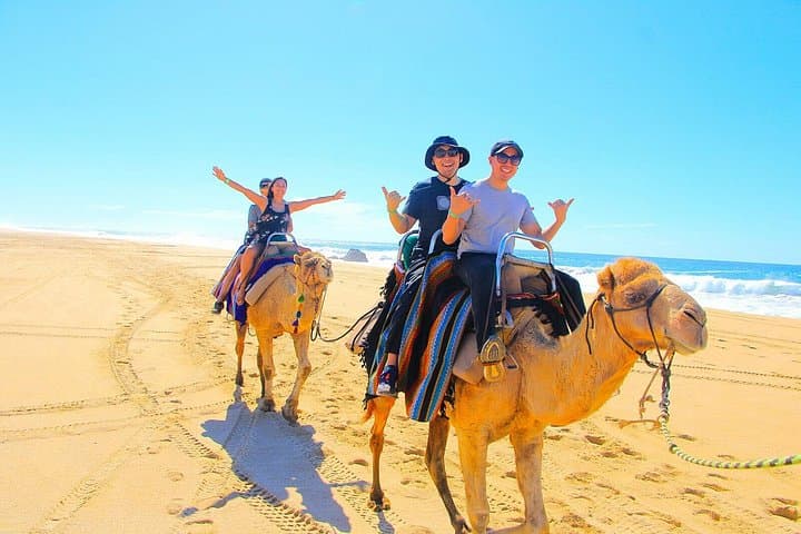 Los Cabos 3‑in‑1 Adventure: Camel Ride, Buffet Lunch & Arch Boat Tour