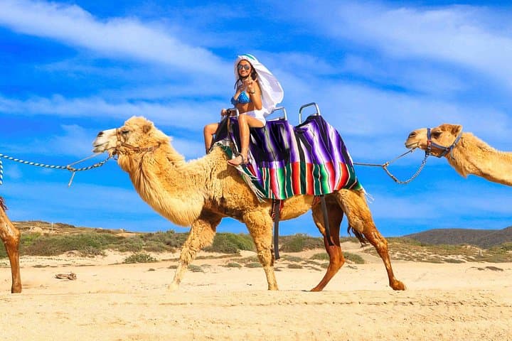 Los Cabos 3‑in‑1 Adventure: Camel Ride, Buffet Lunch & Arch Boat Tour photo 4