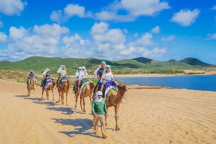 Los Cabos 3‑in‑1 Adventure: Camel Ride, Buffet Lunch & Arch Boat Tour photo 5