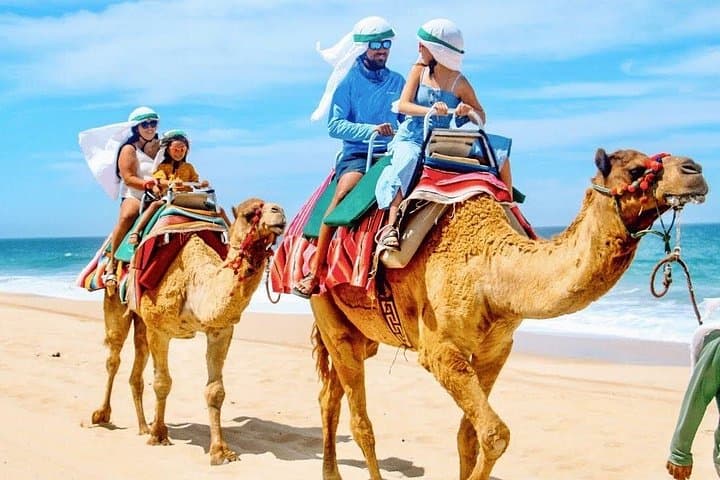Los Cabos 3‑in‑1 Adventure: Camel Ride, Buffet Lunch & Arch Boat Tour photo 6