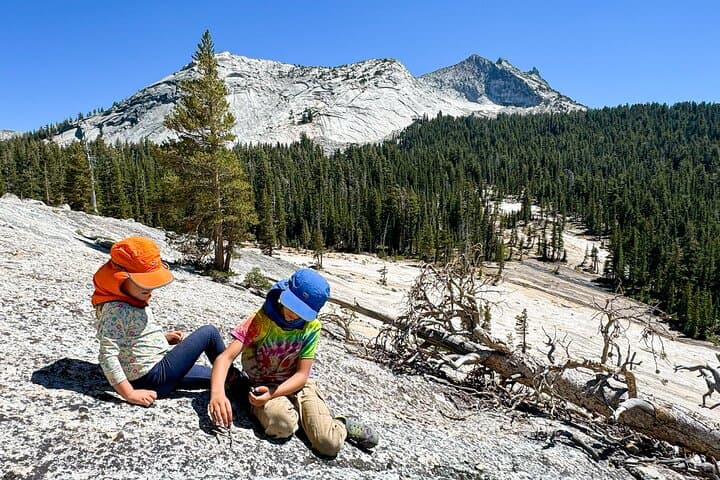 Kid-Friendly Yosemite Private Tour — Tuolumne Meadows Day Hike photo 6