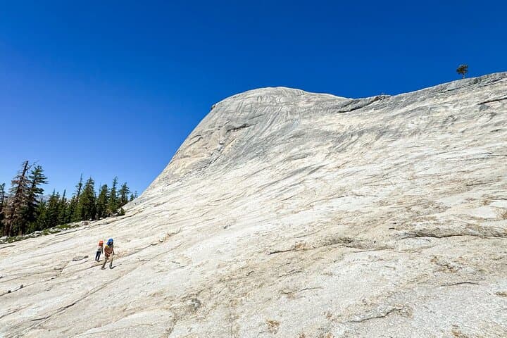 Kid-Friendly Yosemite Private Tour — Tuolumne Meadows Day Hike