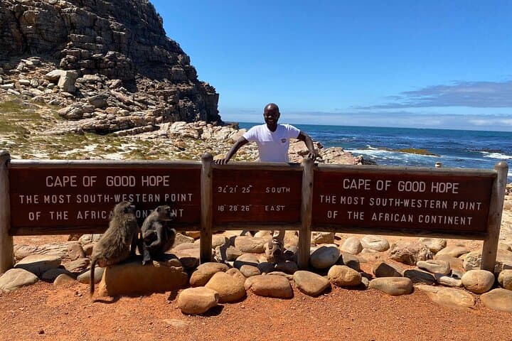Cape Peninsula Private Full-Day Tour — Chapman's Peak, Cape Point & Boulders Beach Penguins photo 2