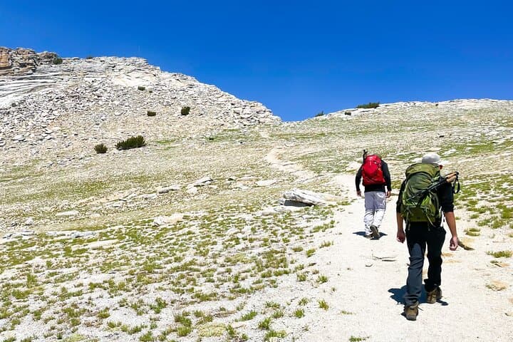 Yosemite Guided Father and Son Hiking Adventure photo 4