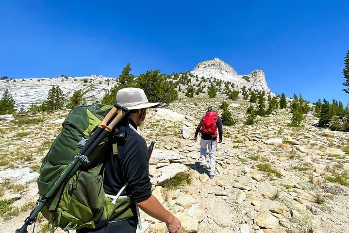 Yosemite Guided Father and Son Hiking Adventure photo 2