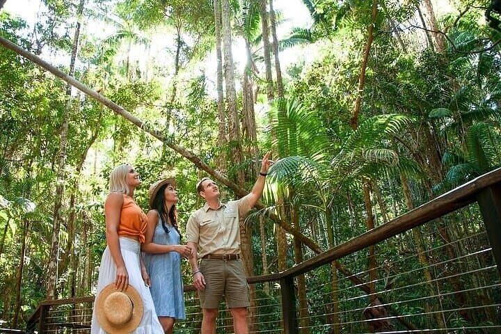 K'gari (Fraser Island) 5-Day Ultimate Tour from Hervey Bay — Beach Highways, Perched Lakes & Shipwrecks