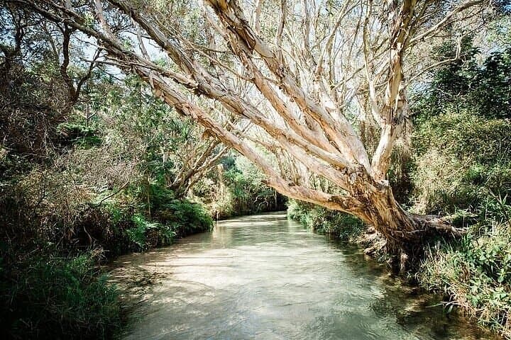 K'gari (Fraser Island) 4-Day 4WD Eco-Adventure From Hervey Bay photo 3