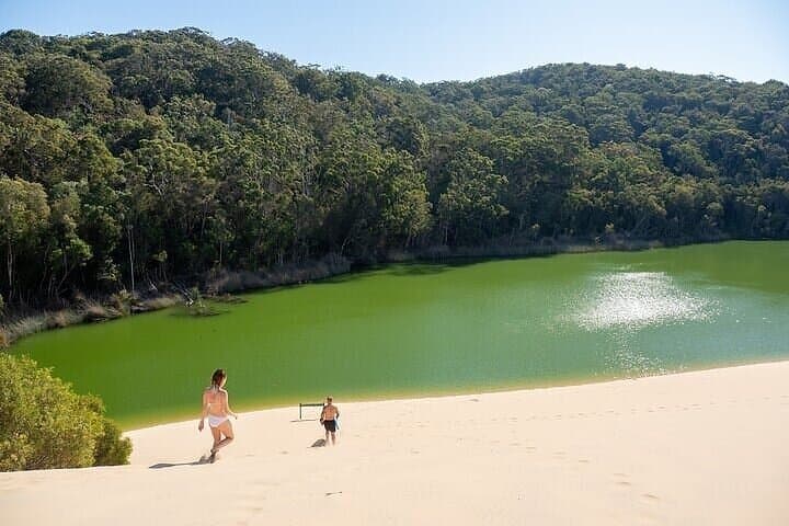 K'gari (Fraser Island) 5-Day Ultimate Tour from Hervey Bay — Beach Highways, Perched Lakes & Shipwrecks photo 6