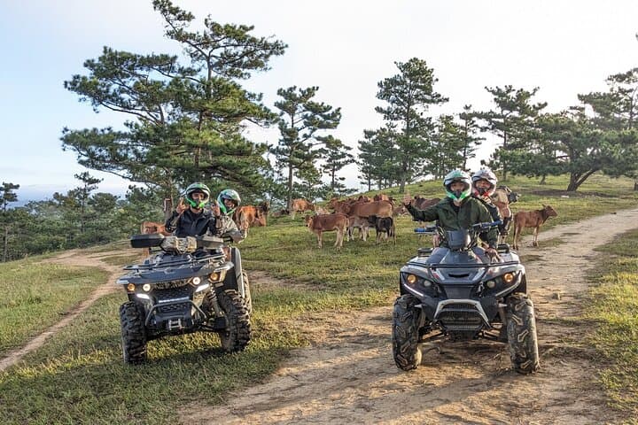 Da Lat Highland ATV Adventure: Scenic Trails, Farms & Forest Views photo 2