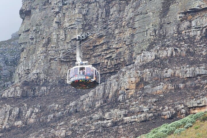 Table Mountain, Stellenbosch Wineries & Big‑Cats Park — Full‑Day Tour from Cape Town photo 2