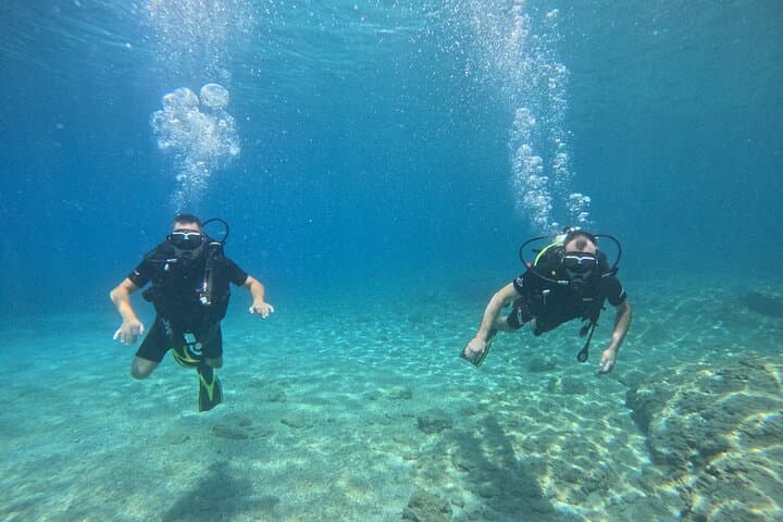 Beginner Scuba Diving in Saronida: Discover Mediterranean Reefs photo 4