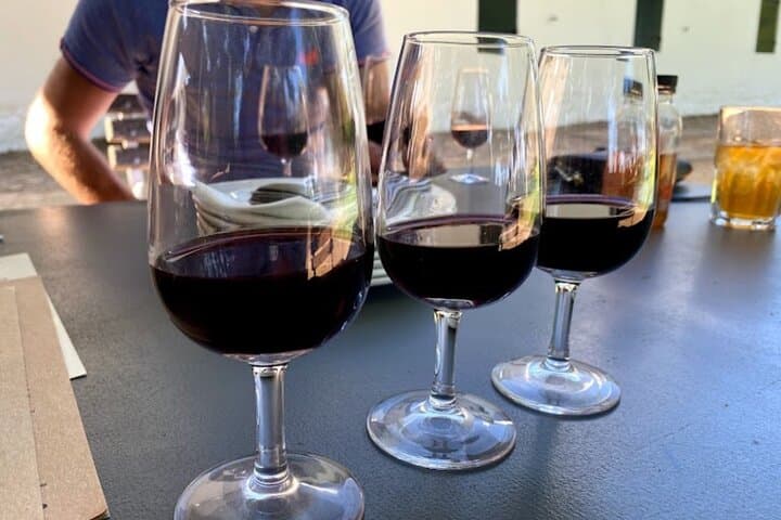 Table Mountain, Stellenbosch Wineries & Big‑Cats Park — Full‑Day Tour from Cape Town photo 6
