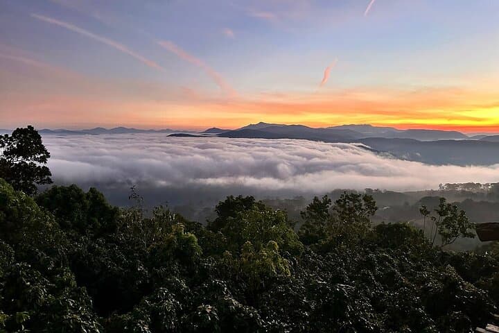 Da Lat in 48 Hours: Top Attractions and Hidden Gems Tour photo 4