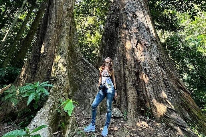 Cuc Phuong National Park Day Trek from Ninh Binh — Primate Rescue, Ancient Trees & Forest Trails
