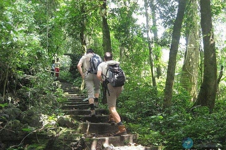 Cuc Phuong National Park Day Trek from Ninh Binh — Primate Rescue, Ancient Trees & Forest Trails photo 3