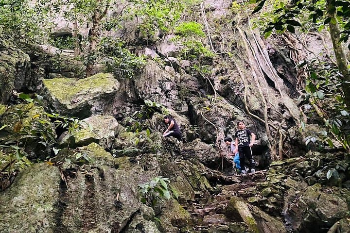 Cuc Phuong National Park Day Trek from Ninh Binh — Primate Rescue, Ancient Trees & Forest Trails photo 5