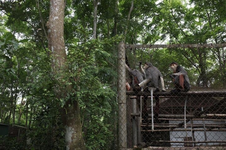 1-Day Trekking in Cuc Phuong National Park — Day Hike from Ninh Binh photo 3