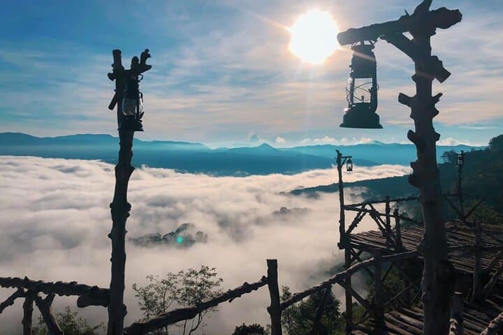 Da Lat Sunrise & Cloud-Chasing Tour: Early-Morning Views, Tea Hills and Coffee