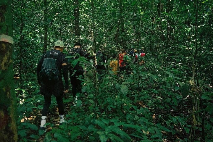 Cuc Phuong National Park Day Trek from Ninh Binh — Primate Rescue, Ancient Trees & Forest Trails photo 6