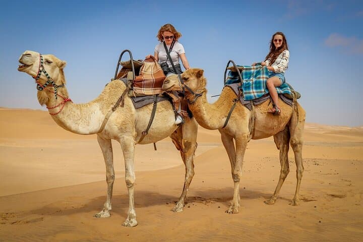 Dubai Desert Safari: Dune Bashing, Live Shows & Cultural Evening photo 5