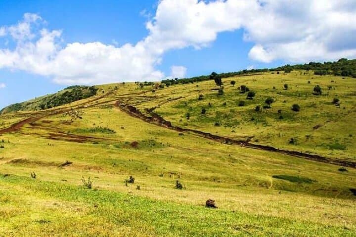 Ngong Hills Ridge Hike: Nairobi Day Tour with Rift Valley Views photo 3