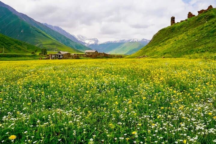 Truso Gorge Day Trek from Tbilisi — Easy Scenic Walk in the Caucasus photo 3