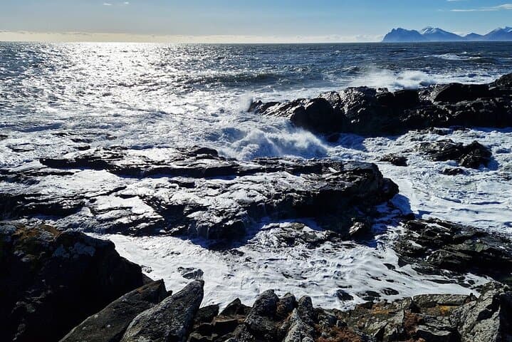 8-Day Iceland Circle: Northern Lights, Glaciers & Golden Circle in Winter photo 4