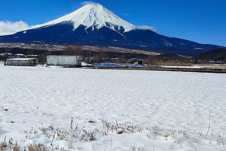 Mt Fuji and Hakone Private Day Tour from Tokyo — 10-Hour Private Car Experience photo 4