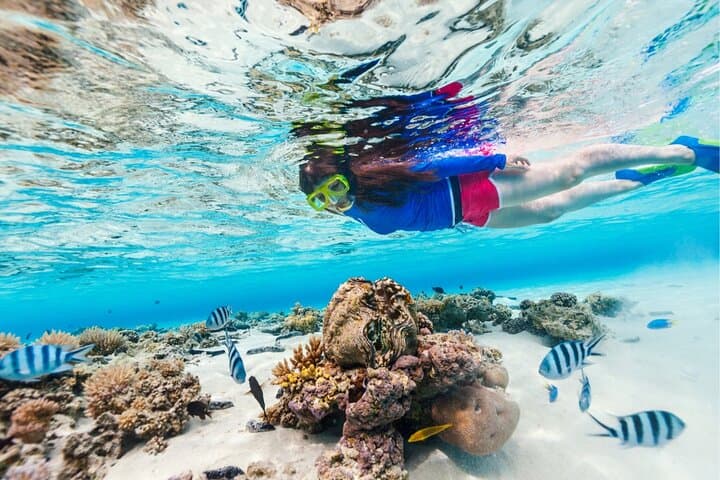 Jet Ski to La Famille Shipwreck and Snorkel Half Moon Bay, Providenciales photo 6