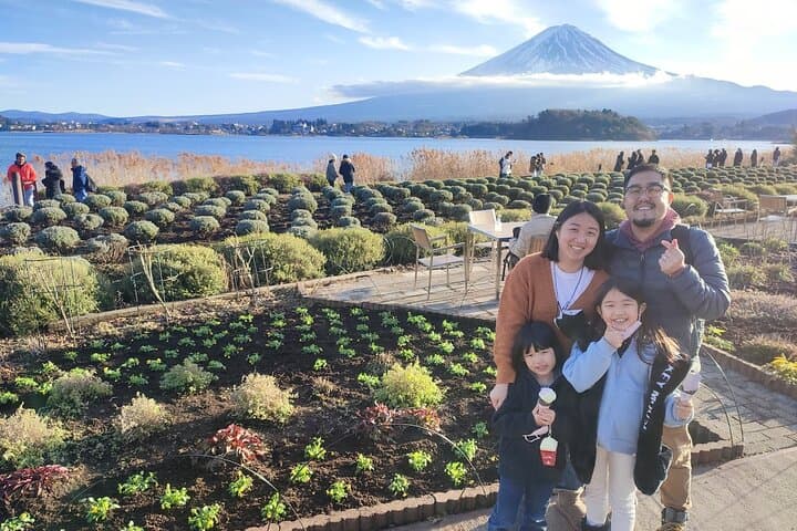 Mt Fuji and Hakone Private Day Tour from Tokyo — 10-Hour Private Car Experience photo 6