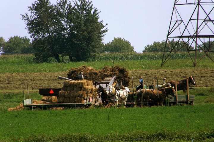 Amish Home Meal & Farmlands Tour — Lancaster Evening Experience photo 5