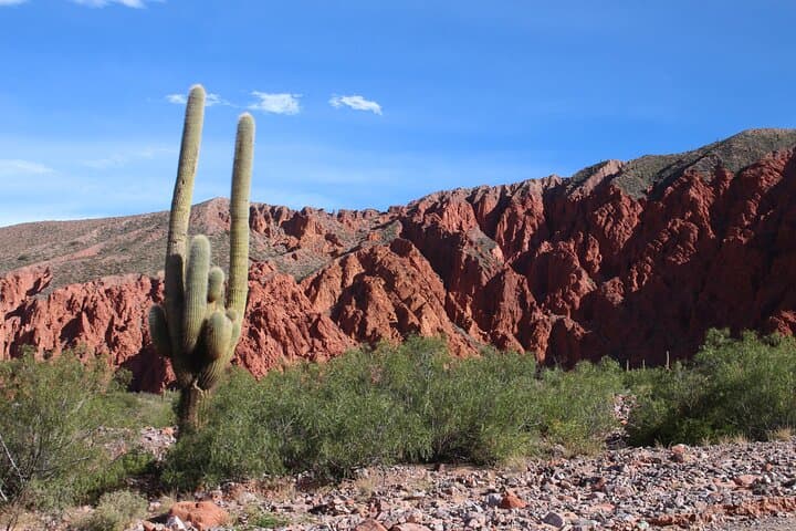 8-day-luxury-salta-north-west-tour-argentina photo 3