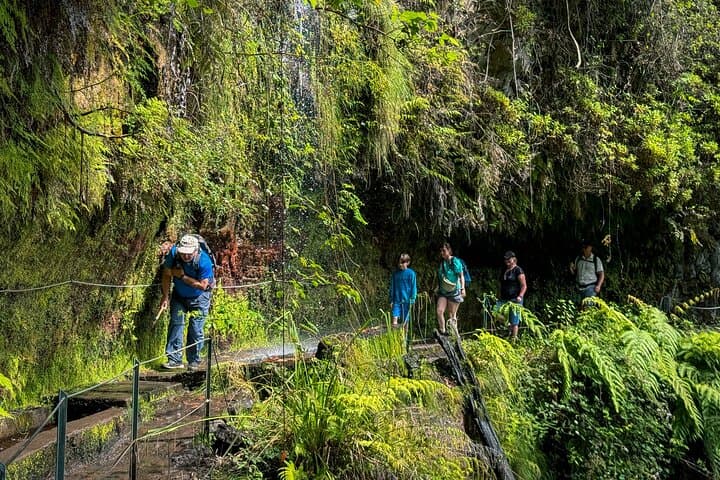 Levada do Rei (PR18) Hike — Walk the Laurissilva along Ribeiro Bonito photo 4