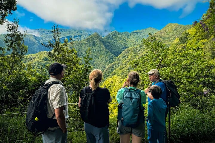 Levada do Rei (PR18) Hike — Walk the Laurissilva along Ribeiro Bonito