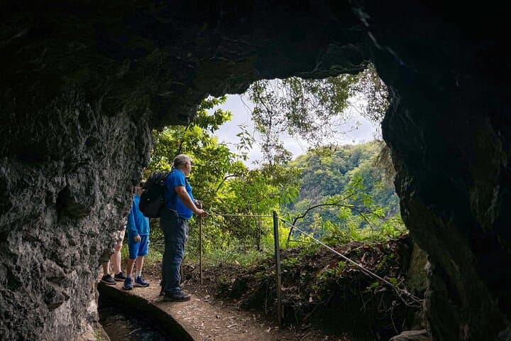 Levada do Rei (PR18) Hike — Walk the Laurissilva along Ribeiro Bonito photo 6