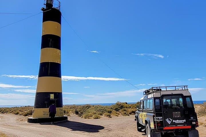 4x4-to-punta-ninfas-elephant-seals-and-lighthouse-full-day-from-puerto-madryn photo 1