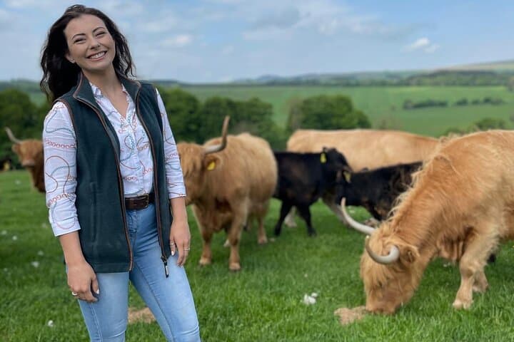 Highland Cow Experience at Jacksons Farm, Jedburgh — Meet the Herd and Explore a Working Scottish Farm