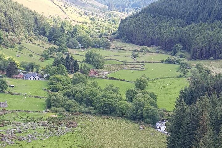 Dublin to Glendalough & Powerscourt: Full-Day Private Chauffeur Sightseeing Tour photo 3