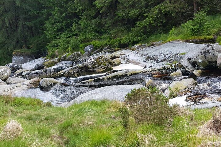 Dublin to Glendalough & Powerscourt: Full-Day Private Chauffeur Sightseeing Tour photo 6