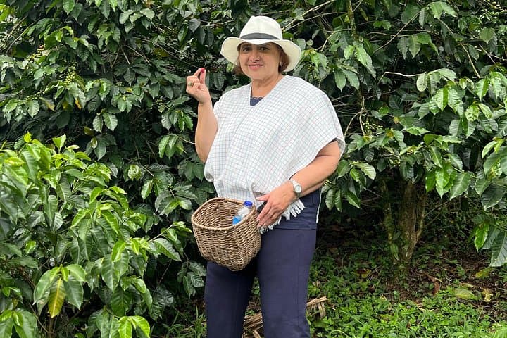 Medellín Coffee Plantation Tour in Guarne — Half-Day Coffee & Hummingbird Experience photo 1