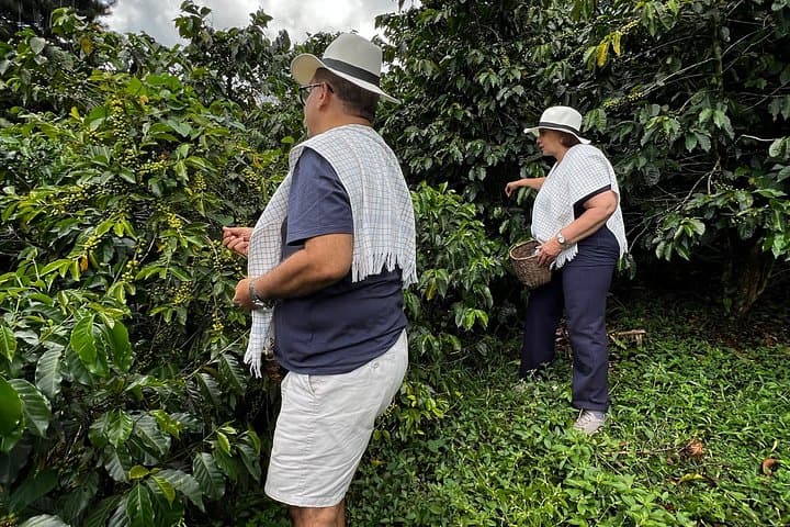 Medellín Coffee Plantation Tour in Guarne — Half-Day Coffee & Hummingbird Experience photo 2