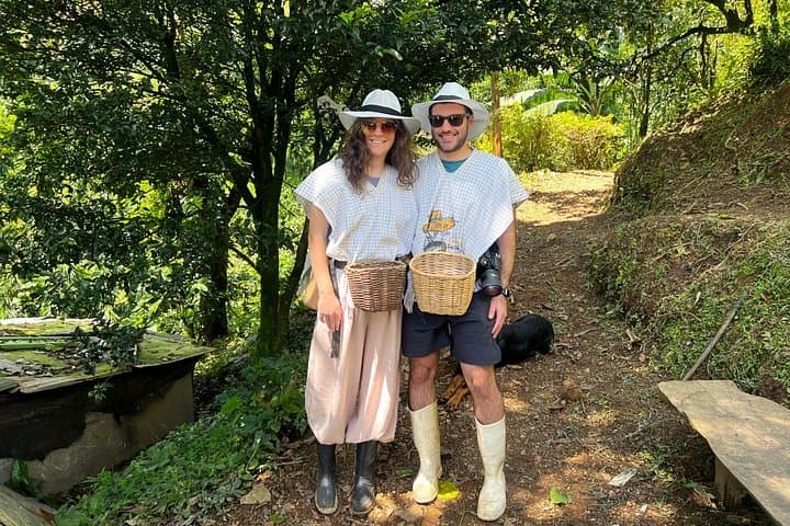 Medellín Coffee Plantation Tour in Guarne — Half-Day Coffee & Hummingbird Experience photo 3