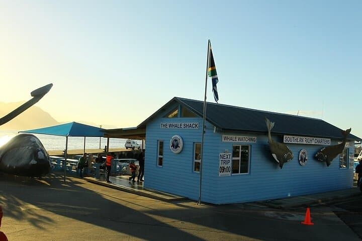 Hermanus Boat Whale Watching: Catamaran Tours to See Southern Right Whales photo 5