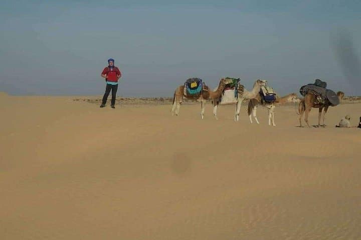 Private Camel Ride in Douz: Hour-Long Dune Trek South of the Sahara photo 4