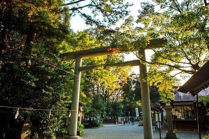 Takachiho Gorge & Mythic Shrines Day Trip from Fukuoka: Takachiho Gorge, Amanoiwato & Kamishikimi photo 3