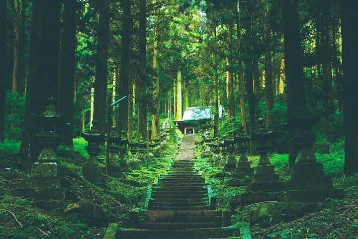 Takachiho Gorge & Mythic Shrines Day Trip from Fukuoka: Takachiho Gorge, Amanoiwato & Kamishikimi photo 4